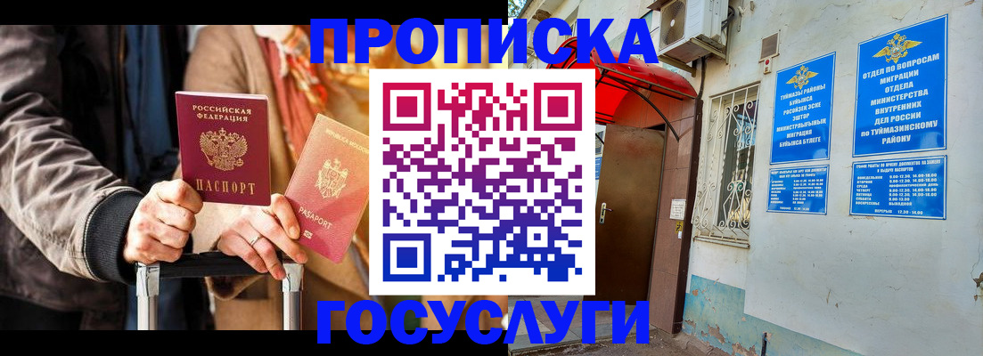 прописка гарантия в Шатуре